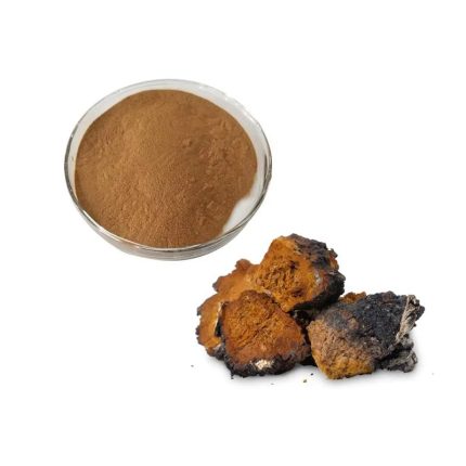 Chaga Extract