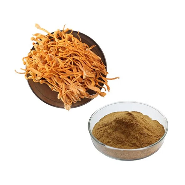 Cordyceps Extract