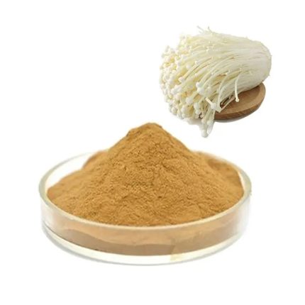 Enoki Mushroom Extract