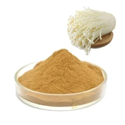 Enoki Mushroom Extract