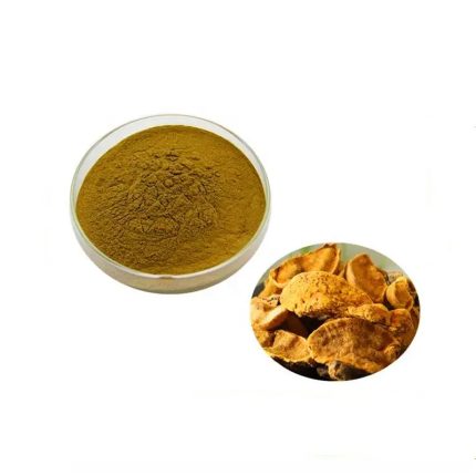 Phellinus igniarius Extract