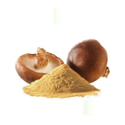 Shiitake Mushroom Extract