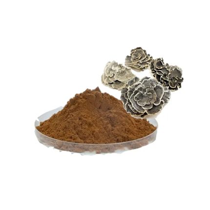 Turkey Tail Extract