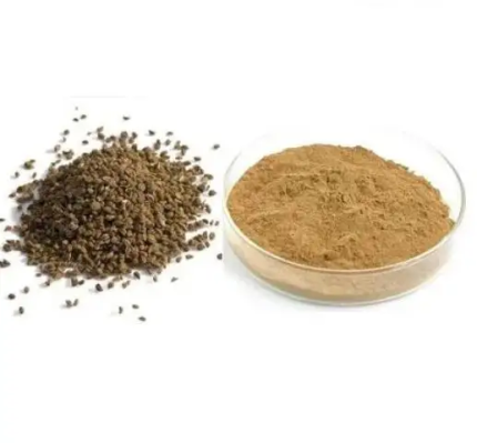 Celery Seed Extract