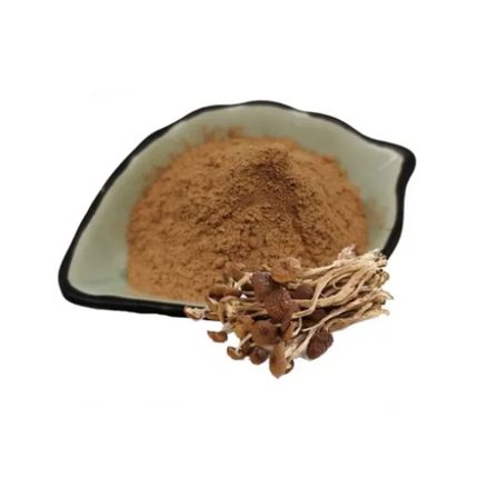 Agrocybe Aegerita Extract
