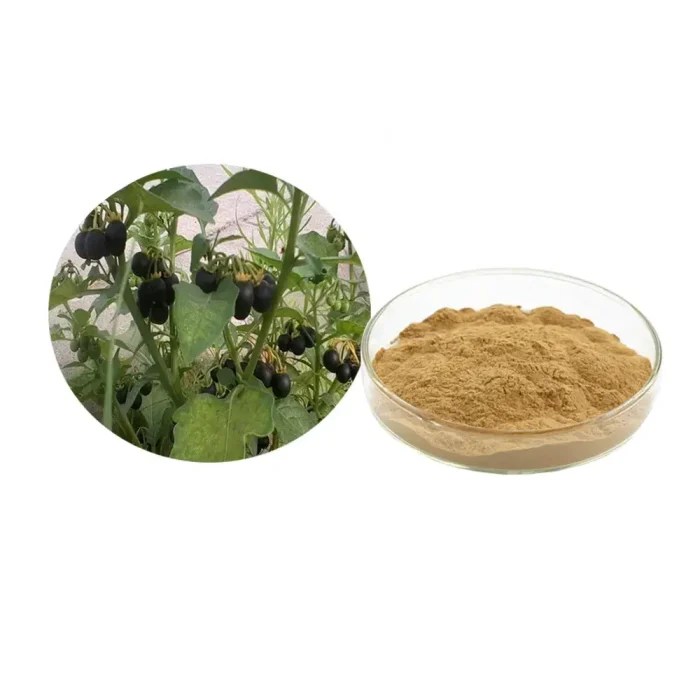 Black Nightshade Extract