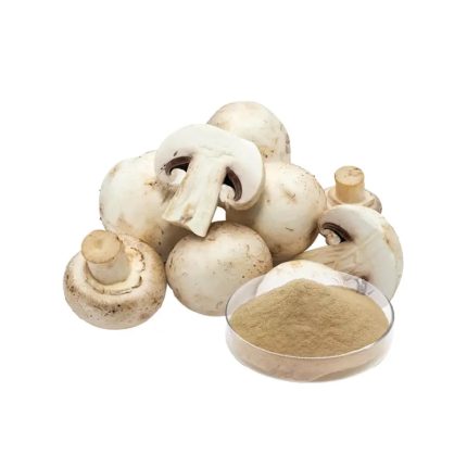 White Button Mushroom Extract