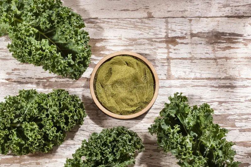 Kale Leaves Powder