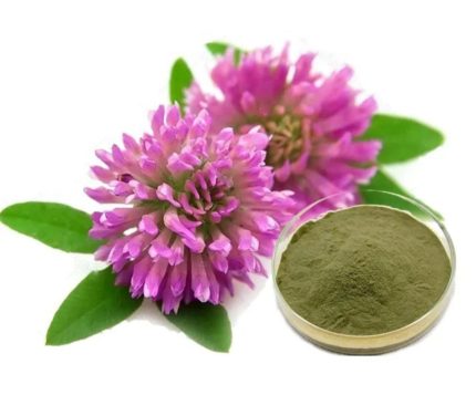 Red clover extract