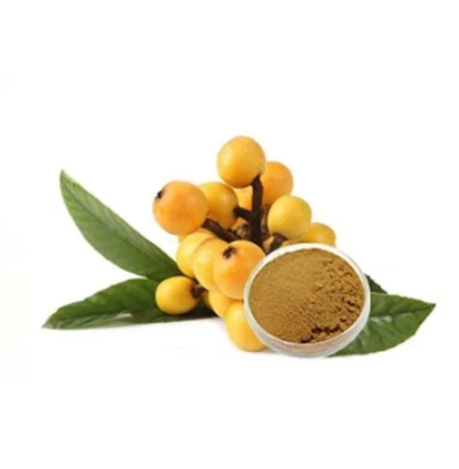 Loquat extract