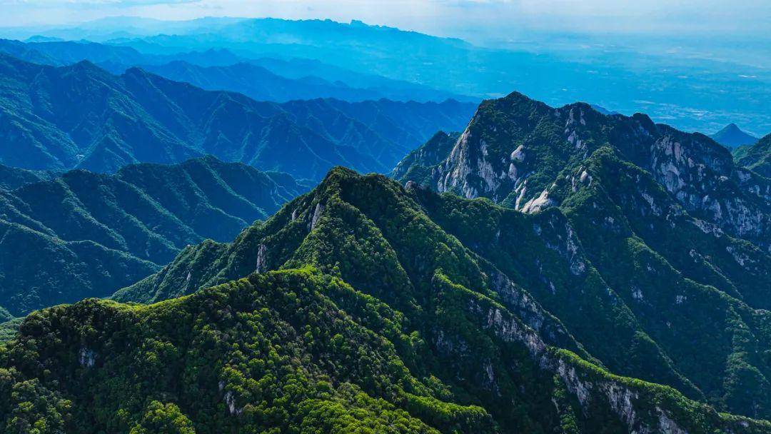 China's Plant Extract