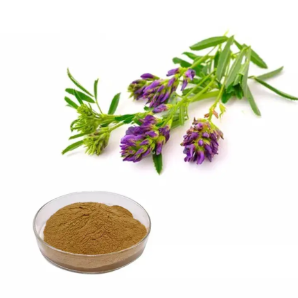 Alfalfa Extract