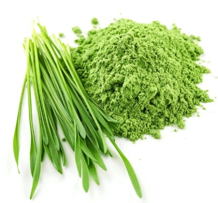 Barley grass extract