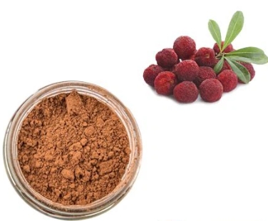Bayberry extract