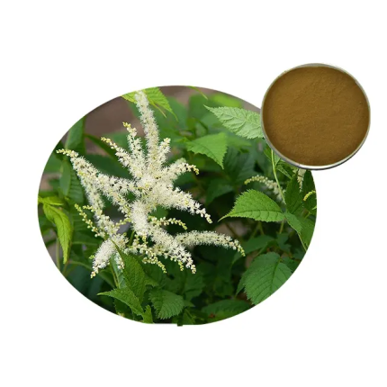 Black Cohosh Extract