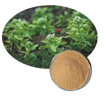 Butterbur Extract