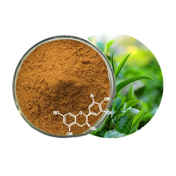 Green Tea Extract