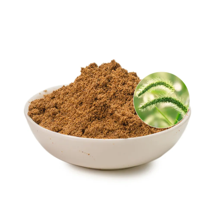 Horsetail Extract