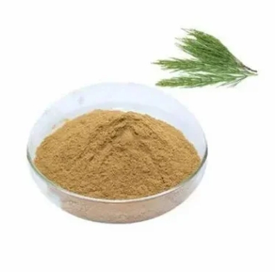 Horsetail extract