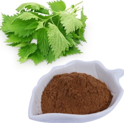 Nettle extract