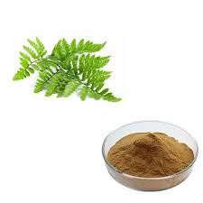 Polypodium vulgare extract