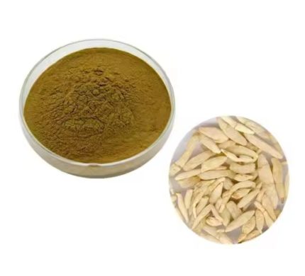 Radix ophiopogonis extract