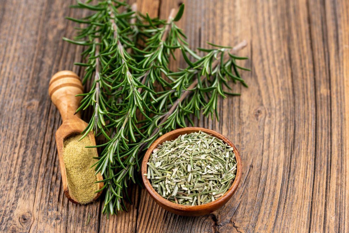 Rosemary Extract: The New Star in the Cosmetics Industry, Leading the Anti-Aging Skincare Trend