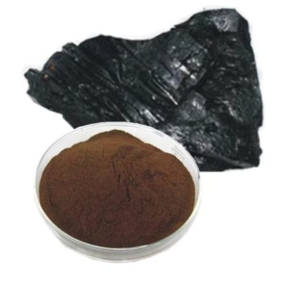 Shilajit Extract
