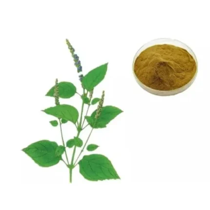 Wrinkled gianthyssop herb extract