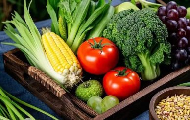 Plant Extracts: A New Green Opportunity in the Health Industry