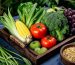 Plant Extracts: A New Green Opportunity in the Health Industry