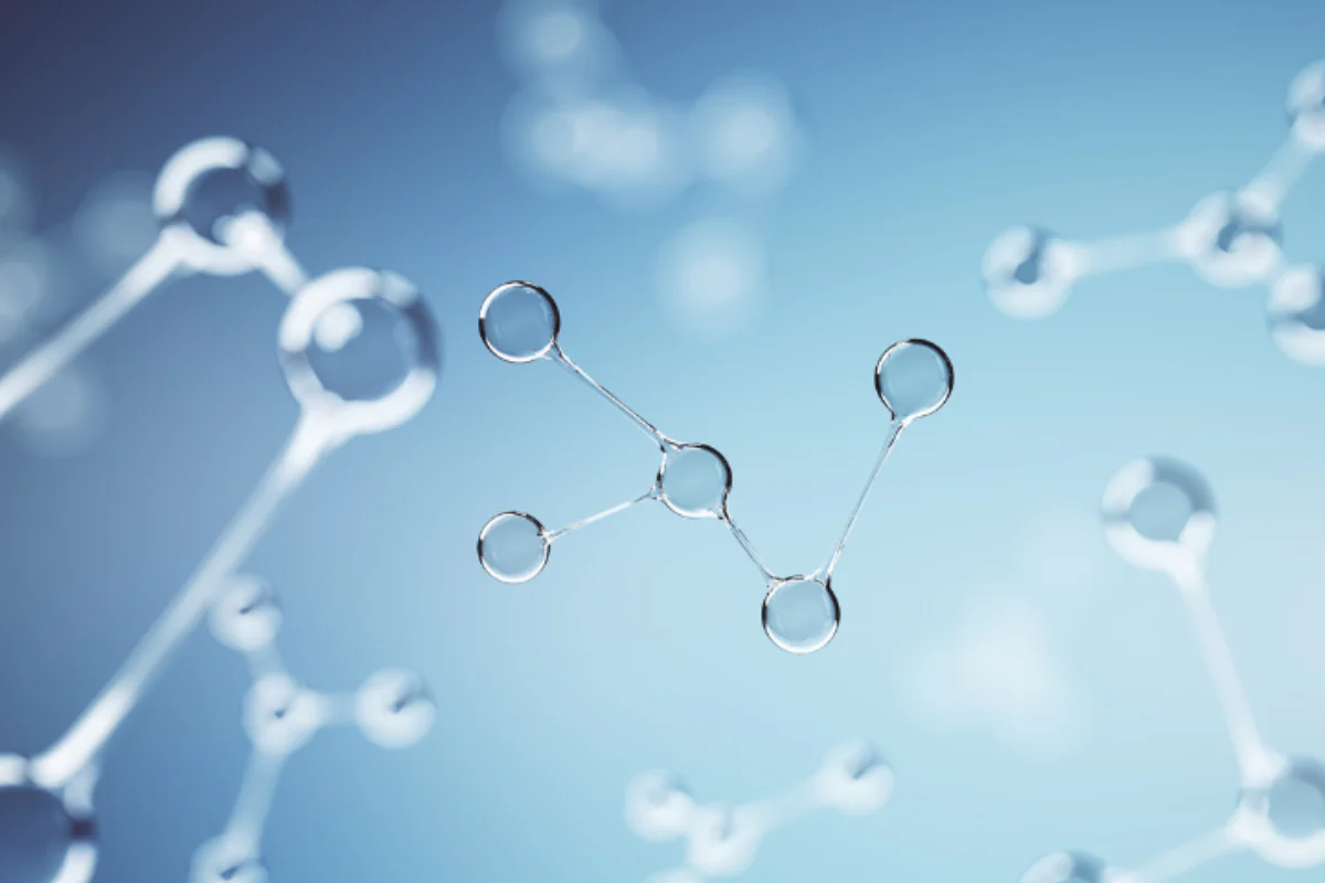 Plant Ceramides