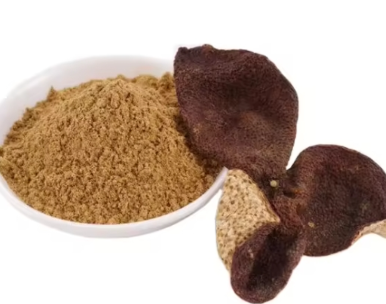 What certifications should I look for when sourcing plant extracts