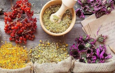 botanical extract supplier China