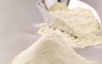 high activity enzyme supplier