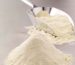 high activity enzyme supplier