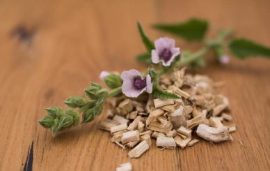 marshmallow root tincture supplier