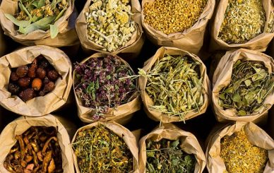 Chinese Herbal Extract Manufacturer