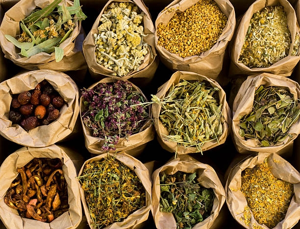 Chinese Herbal Extract Manufacturer