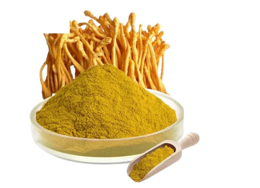 Cordyceps Extract Enhances Immunity