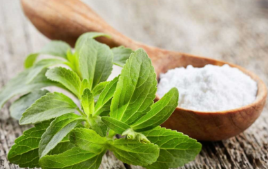 Stevia Extract And Gut Health