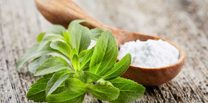 Stevia Extract And Gut Health