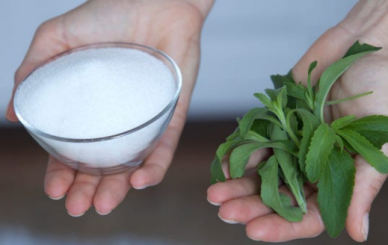 Stevia Extract Blood Sugar Control