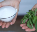 Stevia Extract Blood Sugar Control