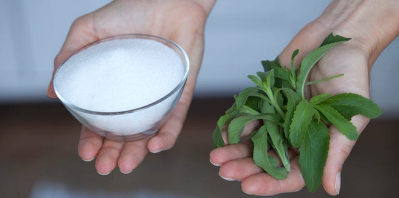 Stevia Extract Blood Sugar Control