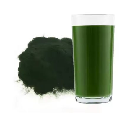 Chlorella Powder