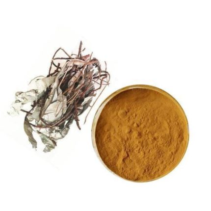 Kacip Fatimah Extract