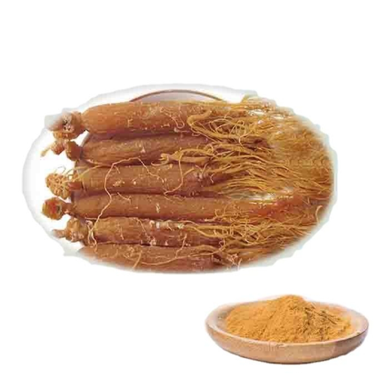 Korean Ginseng Extract Korean Ginseng Extract