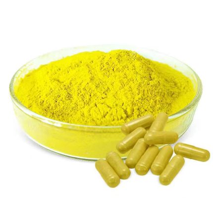 Liposomal Fisetin Supplier