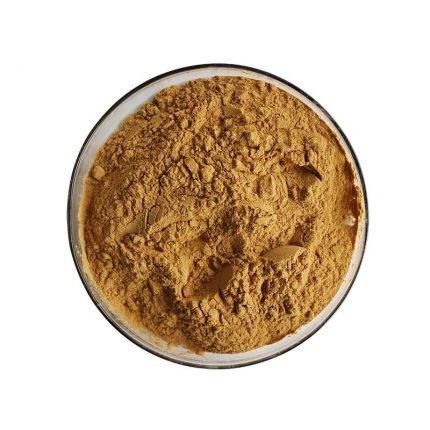 Marasmius Androsaceus Extract